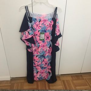 NWT Lilly Pulitzer Kara Dress Hypes & Stripes